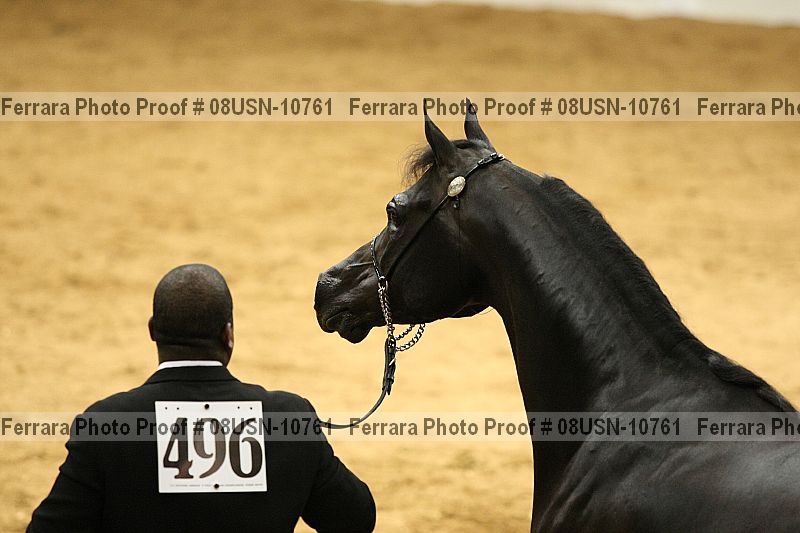 Proof 08usn-10761