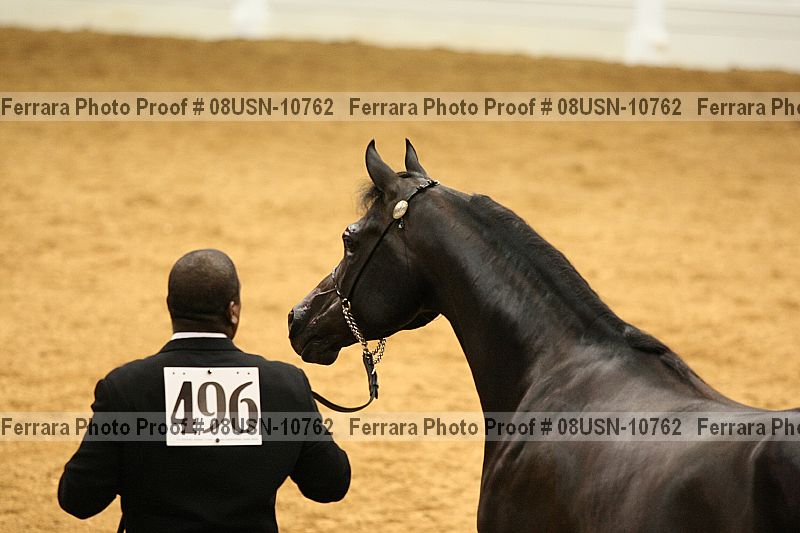 Proof 08usn-10762