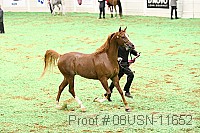 08usn-11652 proof