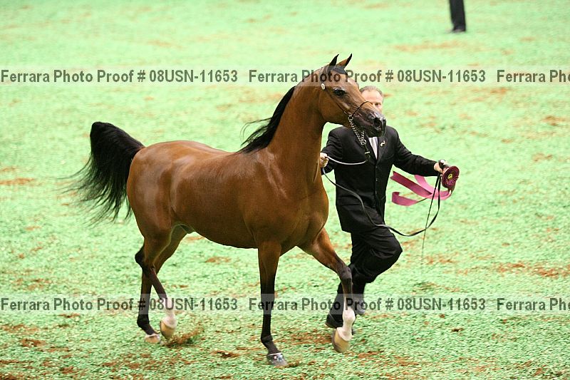 Proof 08usn-11653