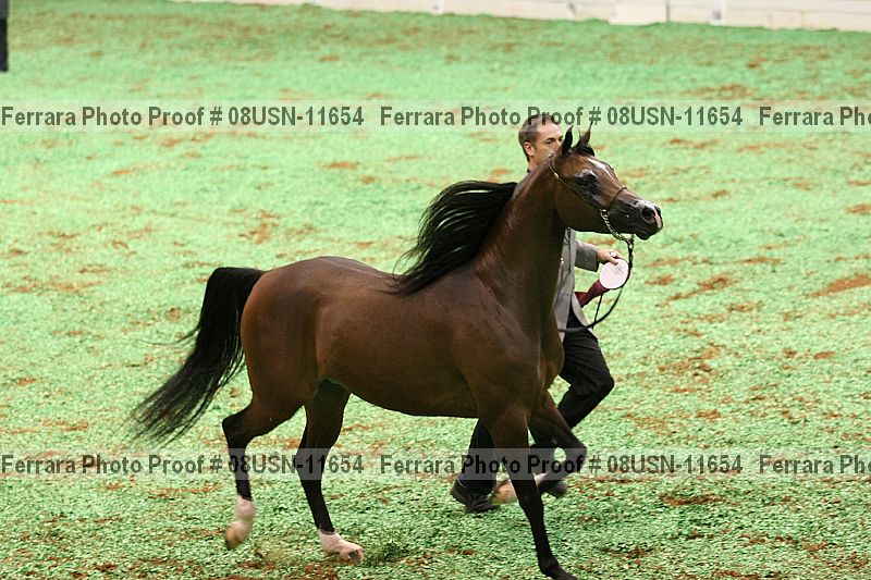 Proof 08usn-11654