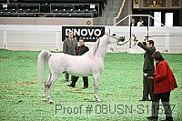 08usn-s11527 proof