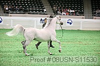 08usn-s11530 proof