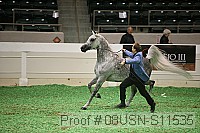 08usn-s11535 proof