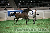 08usn-s11540 proof