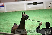 08usn-s11549 proof