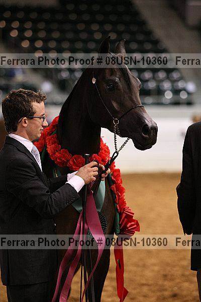 Proof 08usn-10360