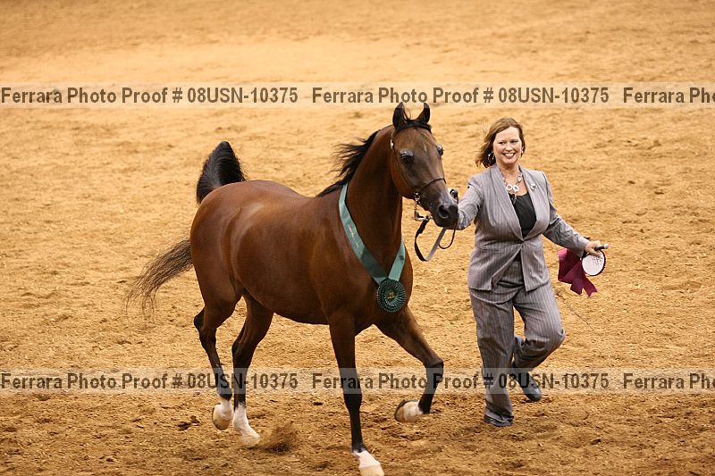 Proof 08usn-10375