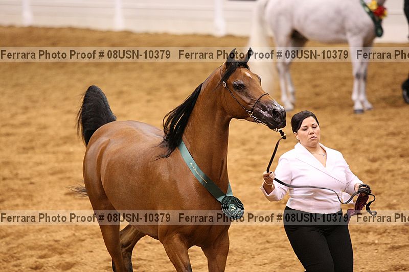 Proof 08usn-10379