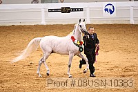 08usn-10383 proof