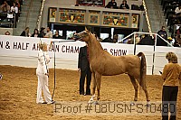 08usn-s10480 proof