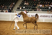 08usn-s10481 proof
