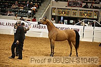 08usn-s10482 proof