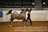 08usn-s10483 proof