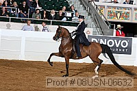 08usn-06632 proof