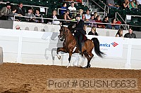 08usn-06633 proof