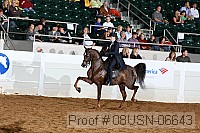 08usn-06643 proof