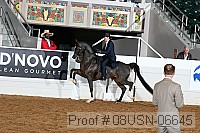 08usn-06645 proof