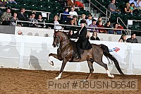 08usn-06646 proof