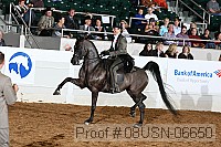 08usn-06650 proof