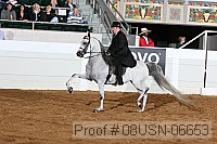 08usn-06653 proof