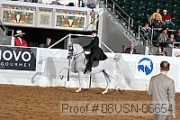 08usn-06654 proof
