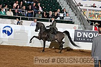 08usn-06658 proof