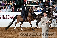 08usn-06661 proof