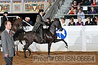 08usn-06664 proof