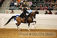 08usn-06667 proof