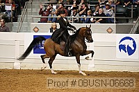 08usn-06668 proof