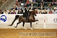 08usn-06672 proof