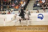 08usn-06673 proof