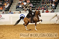 08usn-06674 proof