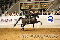 08usn-06675 proof