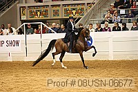 08usn-06677 proof