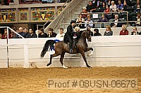 08usn-06678 proof