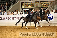 08usn-06681 proof