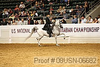 08usn-06682 proof