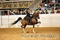 08usn-06683 proof