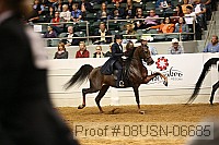 08usn-06685 proof
