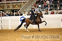 08usn-06686 proof
