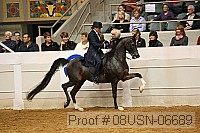08usn-06689 proof