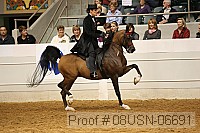 08usn-06691 proof