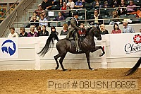 08usn-06695 proof