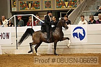 08usn-06699 proof