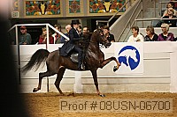 08usn-06700 proof