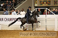 08usn-06701 proof