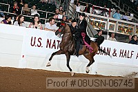 08usn-06745 proof