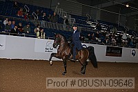 08usn-09646 proof